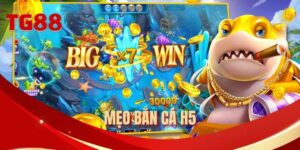 meo-ban-ca-h5